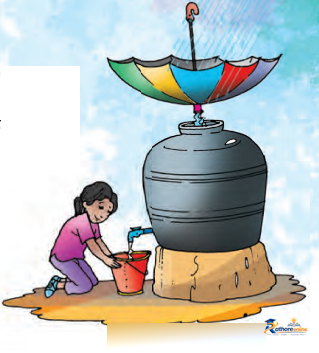 Pani Pani - Image 5