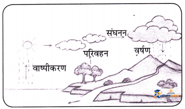 Pani Pani - Image 11
