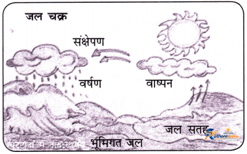 Pani Pani - Image 12