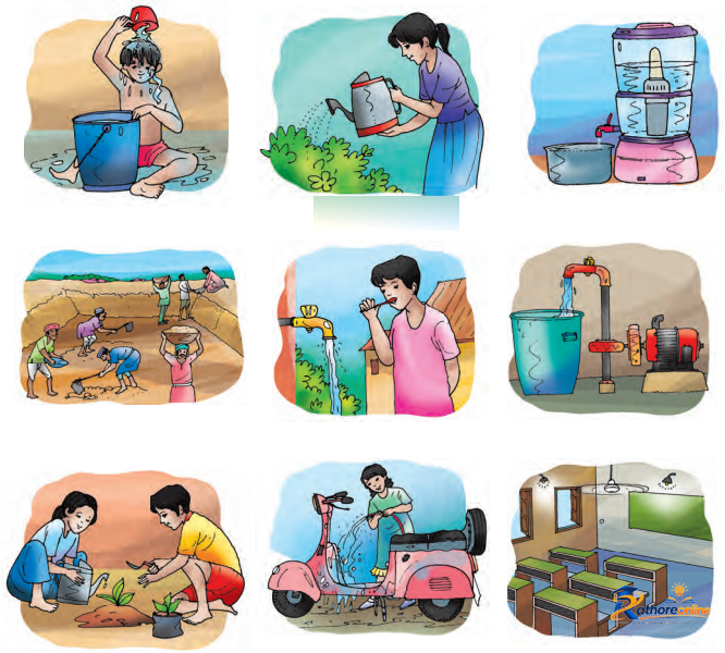 Pani Pani - Image 13