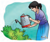 Pani Pani - Image 15