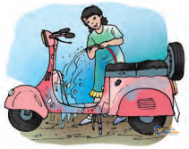 Pani Pani - Image 21