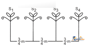 Working With Fractions - Image 14