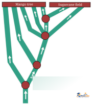 Working With Fractions - Image 23