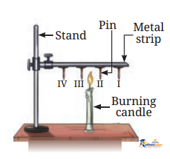 Heat Transfer Nature - Image 2