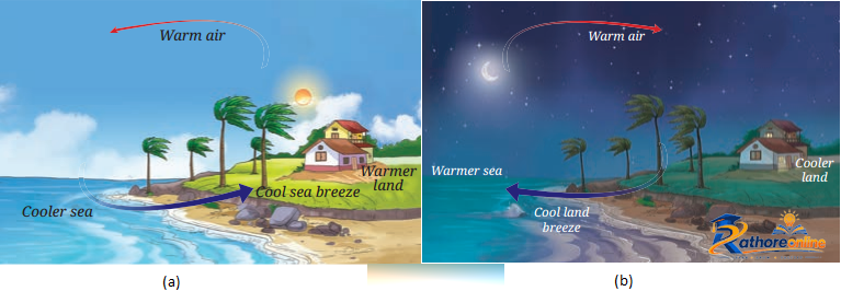 Heat Transfer Nature - Image 6