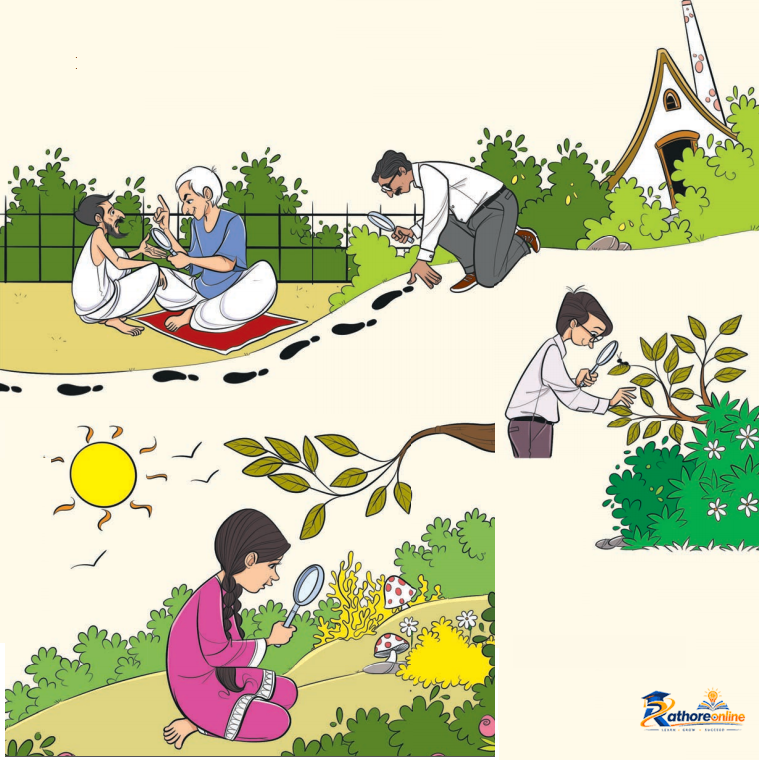Magnifying Glass - Image 1