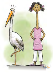 Proportional Reasoning - Image 14