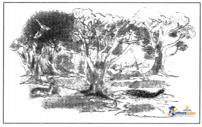 Varnoccharana Shiksha (phonetics) - Image 9
