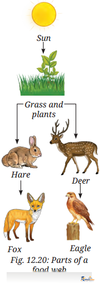How Nature Works Harmony - Image 6