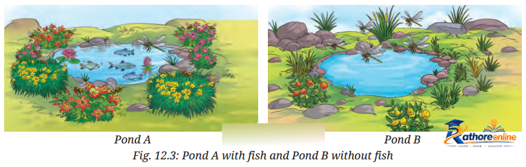 How Nature Works Harmony - Image 10