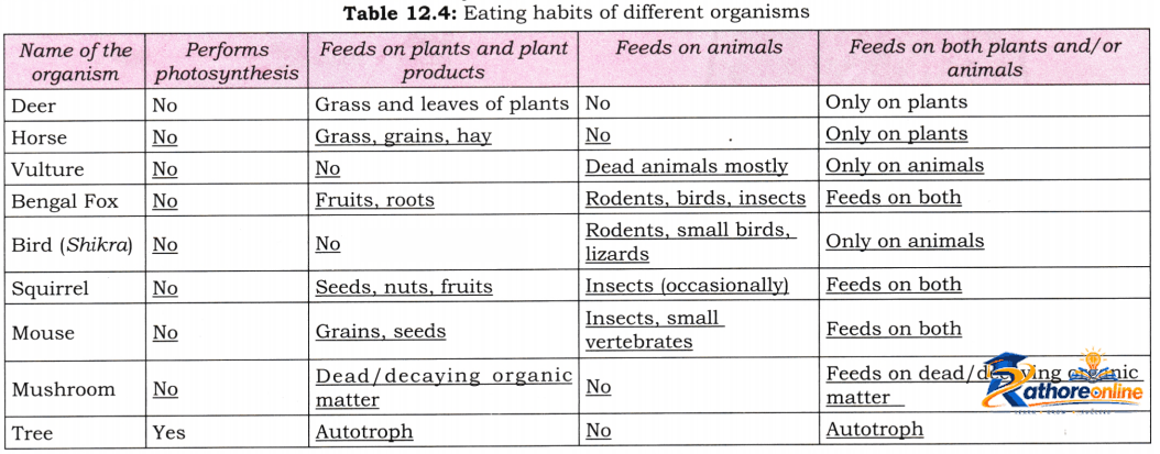 How Nature Works Harmony - Image 13