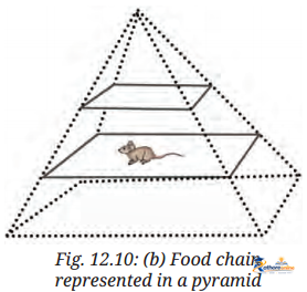 How Nature Works Harmony - Image 16