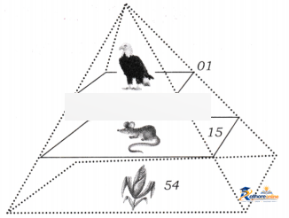 How Nature Works Harmony - Image 17