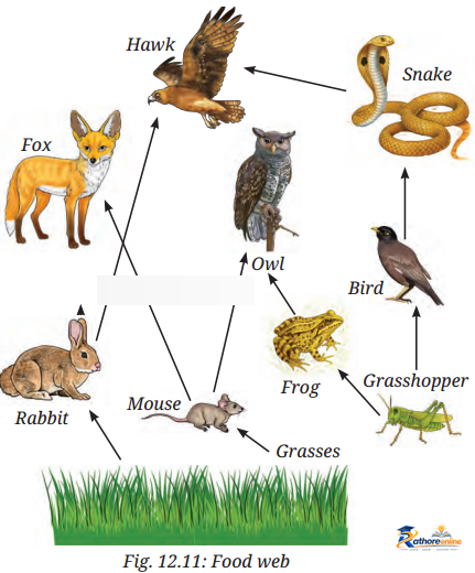 How Nature Works Harmony - Image 19