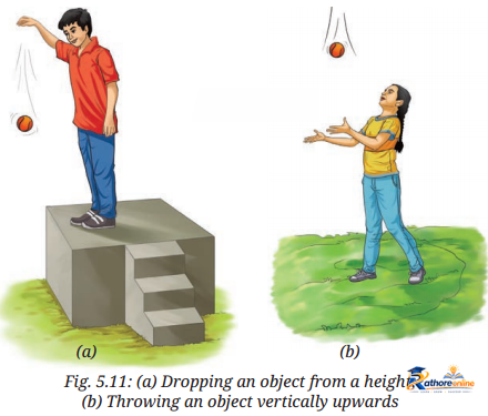 Exploring Forces - Image 20