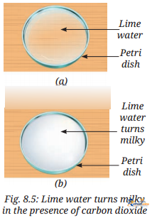Nature Matter_ Elements, Compounds, And - Image 12