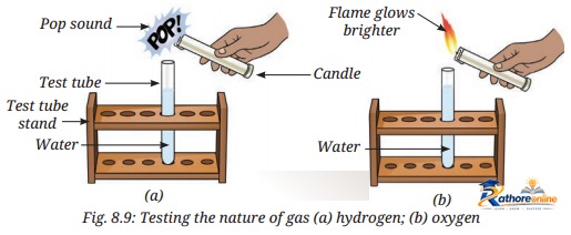 Nature Matter_ Elements, Compounds, And - Image 18
