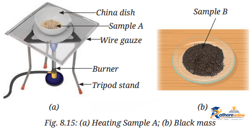 Nature Matter_ Elements, Compounds, And - Image 23