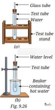 The Amazing World Solutes, Solvents, - Image 6