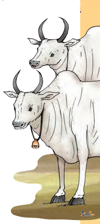 Bailon Katha - Image 2