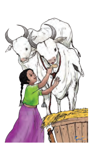 Bailon Katha - Image 13
