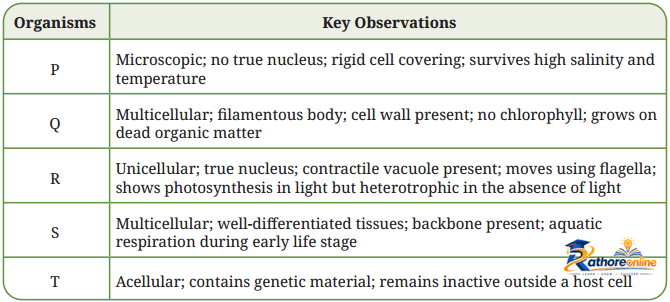 Patterns Life Diversity And Classification - Image 7