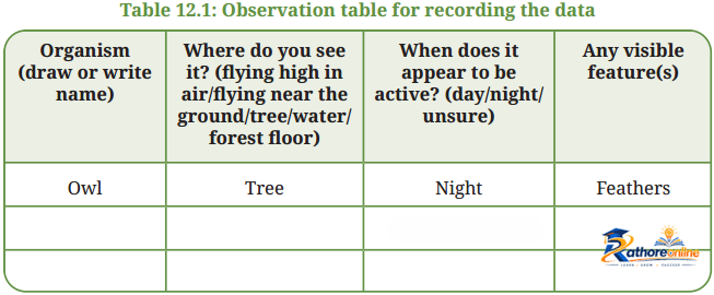 Patterns Life Diversity And Classification - Image 15