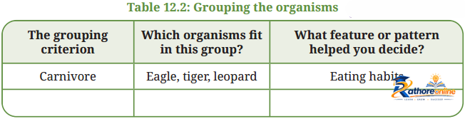 Patterns Life Diversity And Classification - Image 16