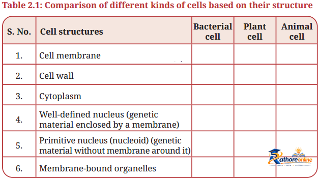 Cell The Building Block Life - Image 23