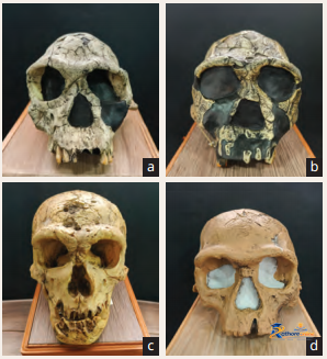 Early Humans And Beginning Civilisation - Image 3